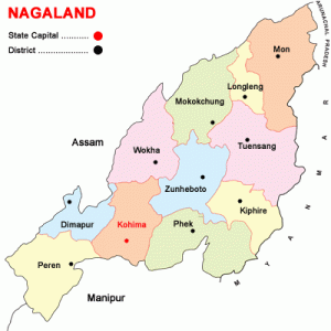 Nagaland Board District Wise Results